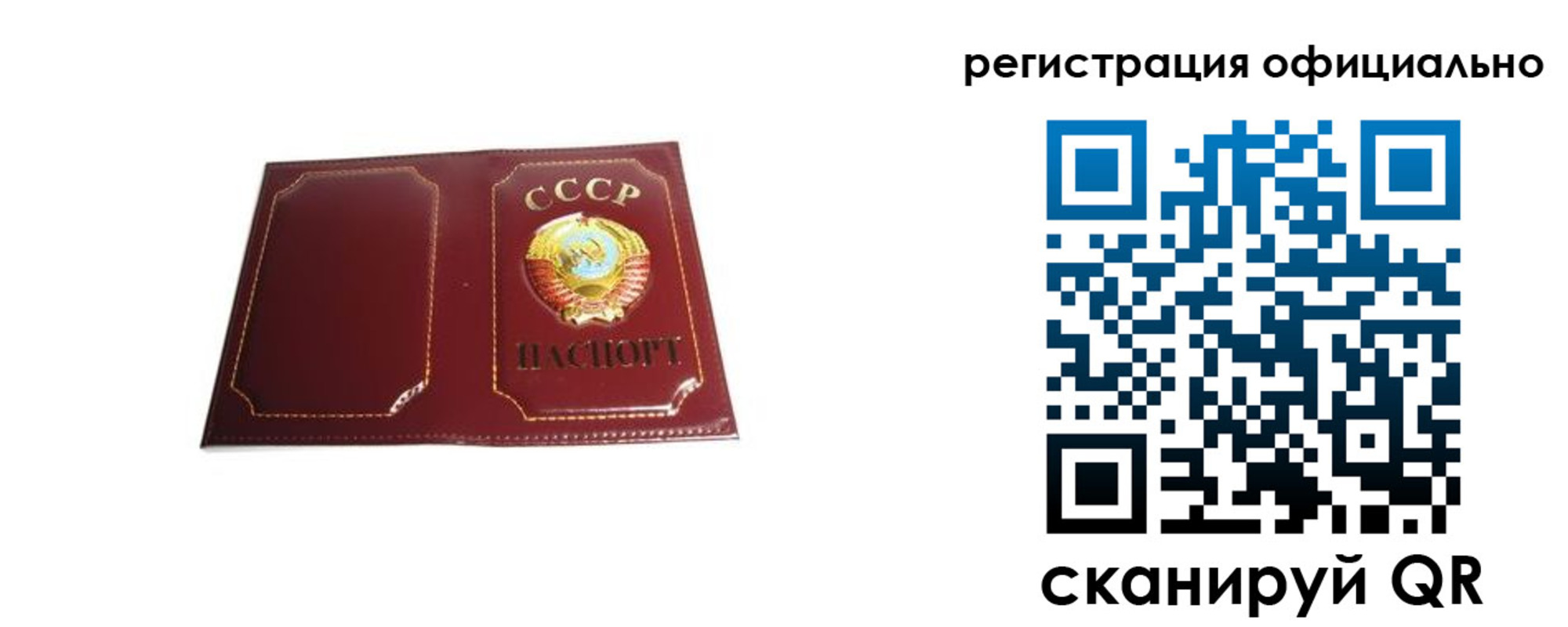 прописка в Вязьме